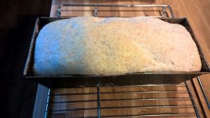 Sandwich - Pullman loaf